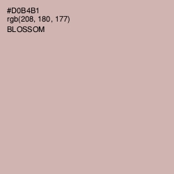 #D0B4B1 - Blossom Color Image