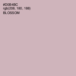 #D0B4BC - Blossom Color Image