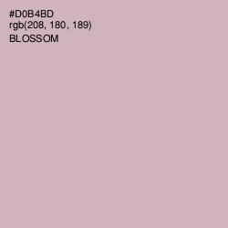 #D0B4BD - Blossom Color Image