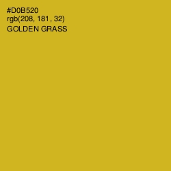 #D0B520 - Golden Grass Color Image