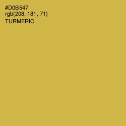 #D0B547 - Turmeric Color Image