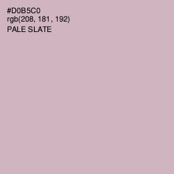 #D0B5C0 - Pale Slate Color Image