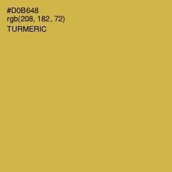 #D0B648 - Turmeric Color Image