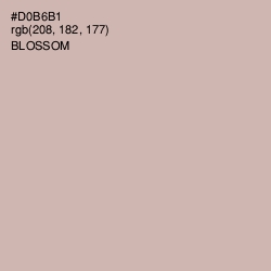 #D0B6B1 - Blossom Color Image