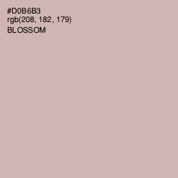 #D0B6B3 - Blossom Color Image