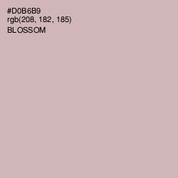 #D0B6B9 - Blossom Color Image