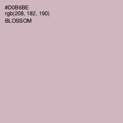 #D0B6BE - Blossom Color Image