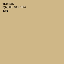 #D0B787 - Tan Color Image