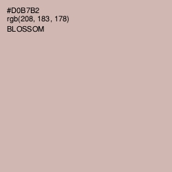 #D0B7B2 - Blossom Color Image