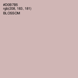 #D0B7B5 - Blossom Color Image