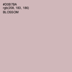 #D0B7BA - Blossom Color Image