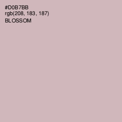 #D0B7BB - Blossom Color Image