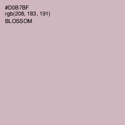 #D0B7BF - Blossom Color Image