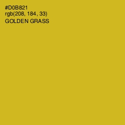 #D0B821 - Golden Grass Color Image