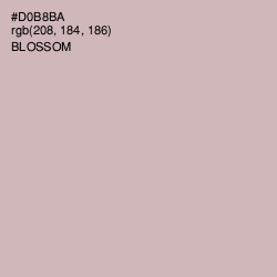 #D0B8BA - Blossom Color Image