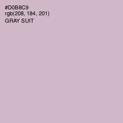 #D0B8C9 - Gray Suit Color Image