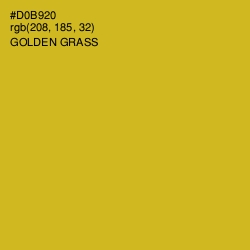 #D0B920 - Golden Grass Color Image