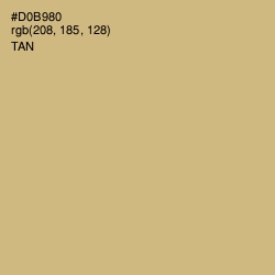 #D0B980 - Tan Color Image