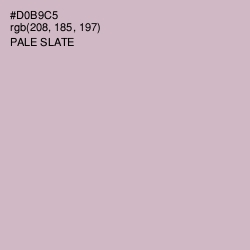 #D0B9C5 - Pale Slate Color Image