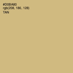 #D0BA80 - Tan Color Image