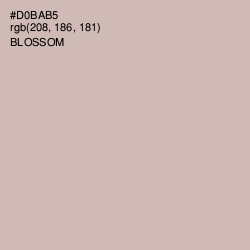 #D0BAB5 - Blossom Color Image