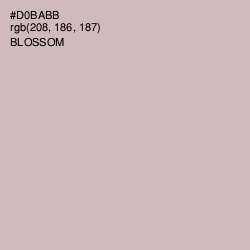 #D0BABB - Blossom Color Image