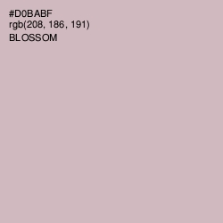 #D0BABF - Blossom Color Image