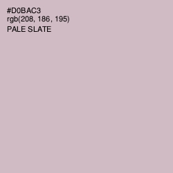 #D0BAC3 - Pale Slate Color Image