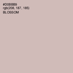 #D0BBB9 - Blossom Color Image