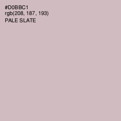 #D0BBC1 - Pale Slate Color Image