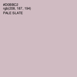 #D0BBC2 - Pale Slate Color Image