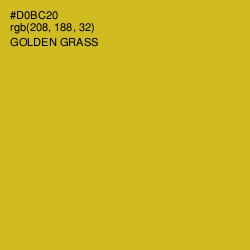 #D0BC20 - Golden Grass Color Image