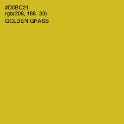 #D0BC21 - Golden Grass Color Image