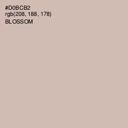 #D0BCB2 - Blossom Color Image