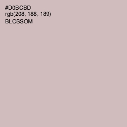 #D0BCBD - Blossom Color Image