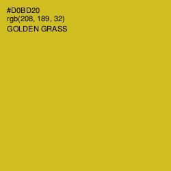 #D0BD20 - Golden Grass Color Image