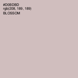#D0BDBD - Blossom Color Image