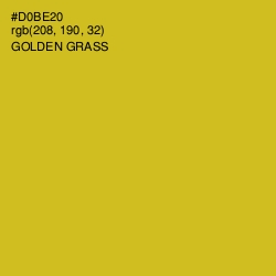 #D0BE20 - Golden Grass Color Image