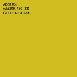 #D0BE21 - Golden Grass Color Image