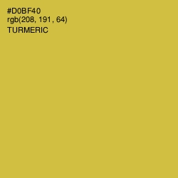 #D0BF40 - Turmeric Color Image