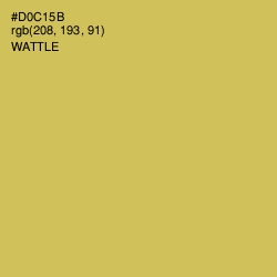 #D0C15B - Wattle Color Image