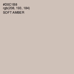 #D0C1B8 - Soft Amber Color Image