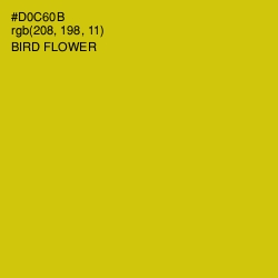 #D0C60B - Bird Flower Color Image