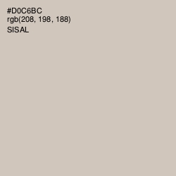 #D0C6BC - Sisal Color Image