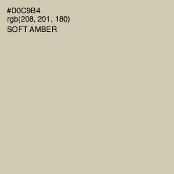 #D0C9B4 - Soft Amber Color Image