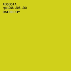 #D0D01A - Barberry Color Image