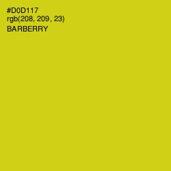#D0D117 - Barberry Color Image