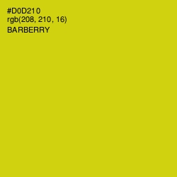 #D0D210 - Barberry Color Image