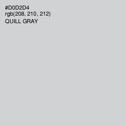 #D0D2D4 - Quill Gray Color Image