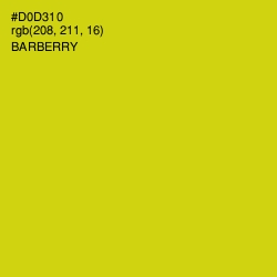 #D0D310 - Barberry Color Image